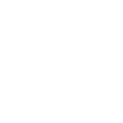 security icon
